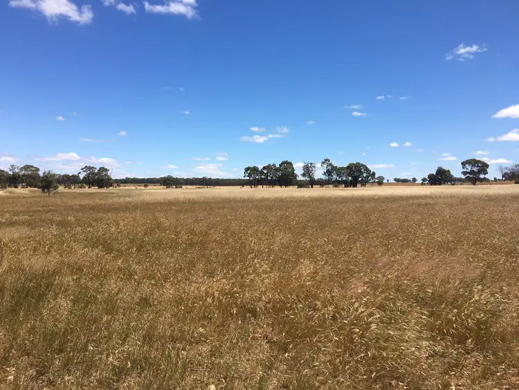Third view of Homely land listing, 22 TRIANGLE ROAD, Newbridge VIC 3551