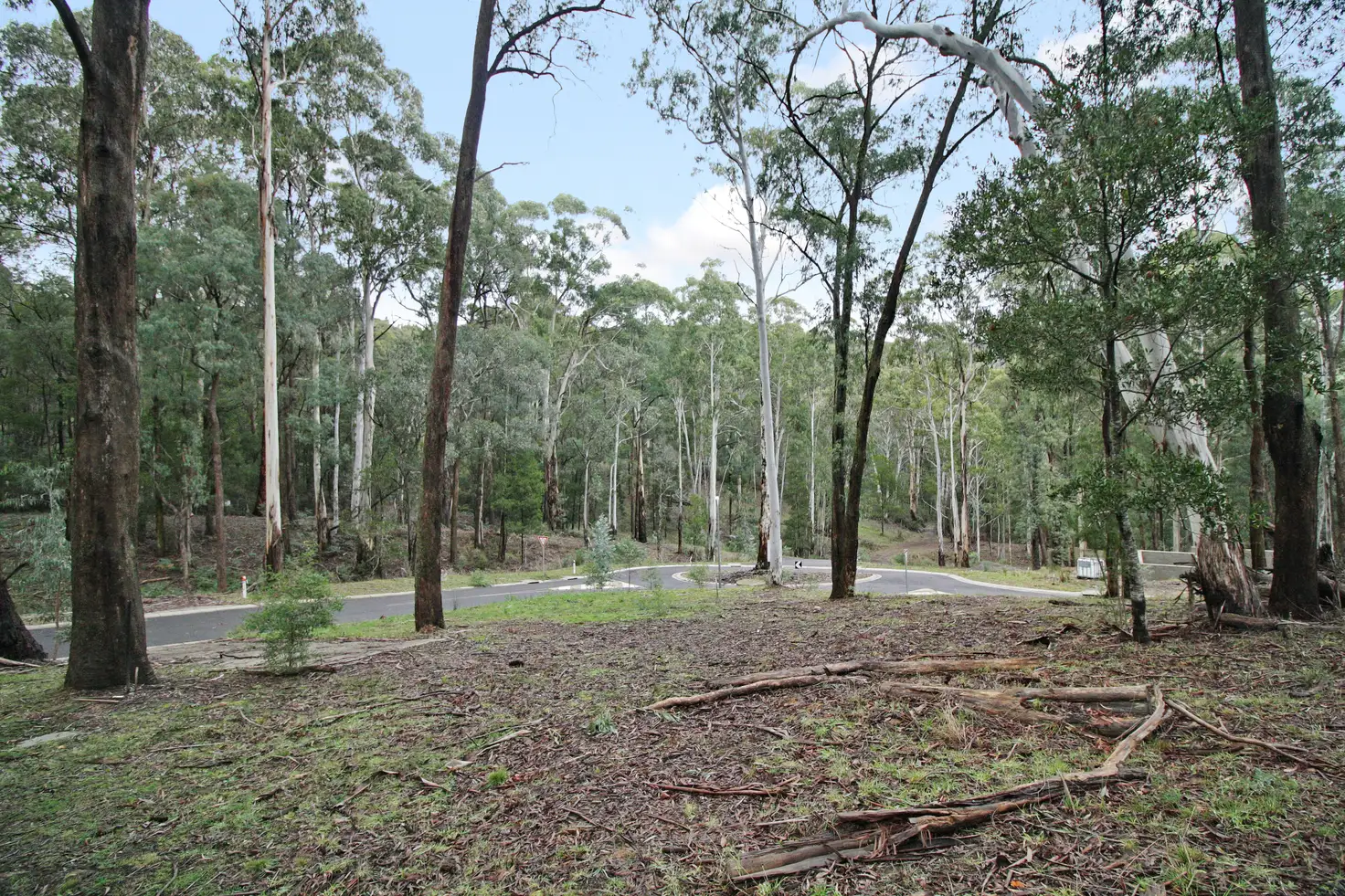 Main view of Homely land listing, 10 Overflow Road, Sawmill Settlement VIC 3723