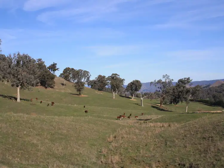 Fourth view of Homely rural property listing, 160 Kiernans Road, Bonnie Doon VIC 3720