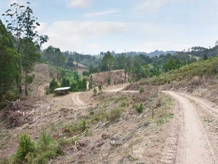 Third view of Homely rural property listing, Lot 1 Van Ess Road, Ferndale VIC 3821
