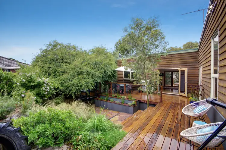 14 Southdown Cres, Belmont VIC 3216