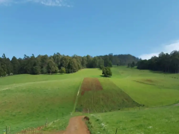 Seventh view of Homely rural property listing, 224 Lowana Road, Gunns Plains TAS 7315