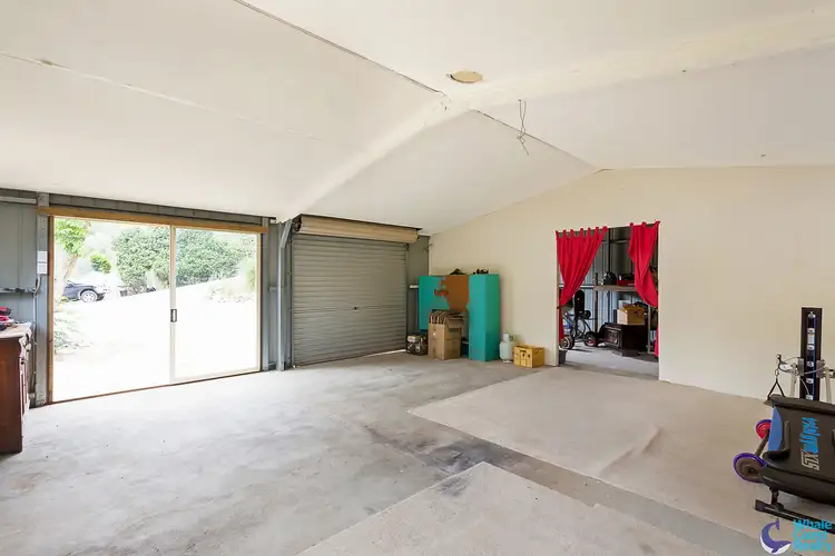 Sixth view of Homely rural property listing, 490 Punkalla Tilba Rd, Central Tilba NSW 2546