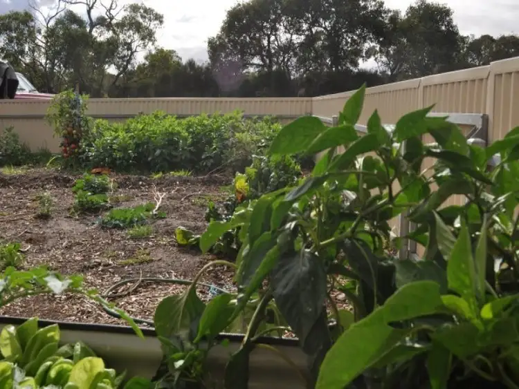 Fifth view of Homely house listing, Lot 502 Jubilee Street, Parndana SA 5220