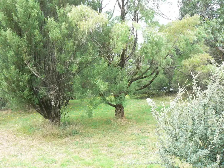 Second view of Homely land listing, 12-14 Lavers Hill-Cobden Road, Lavers Hill VIC 3238