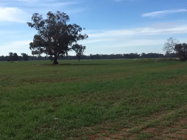 Plain Road, Colbinabbin VIC 3559