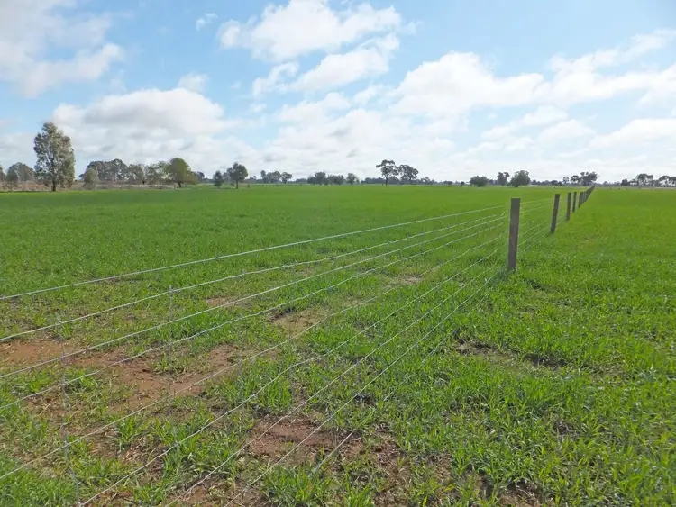 Fourth view of Homely land listing, LOT 3/35 Morrissey Street, Merrigum VIC 3618