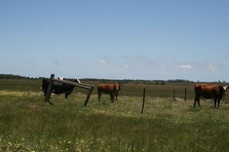 Sixth view of Homely land listing, LOT 1/903 Koroit - Woolsthorpe Road, Woolsthorpe VIC 3276