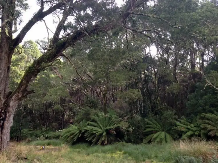 Third view of Homely rural property listing, 130 Lyons Road, Lapoinya TAS 7325