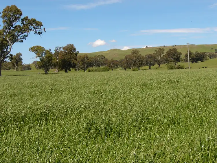Fifth view of Homely rural property listing, 585 Kilmuir Lane, Mansfield VIC 3722