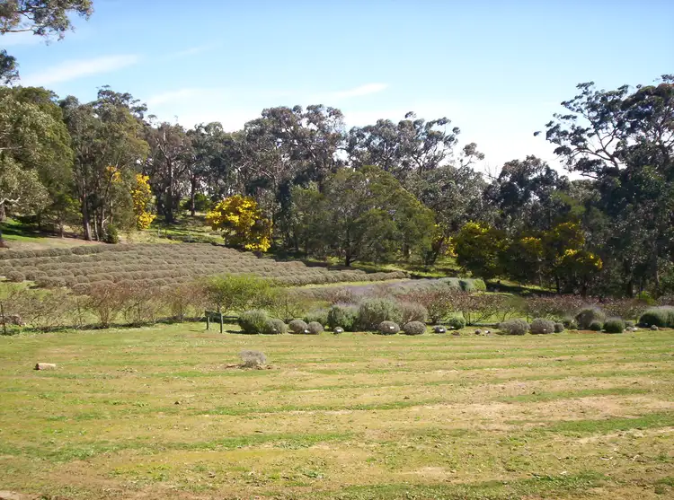 Sixth view of Homely rural property listing, 58 Sharrocks Road, Mount Egerton VIC 3352