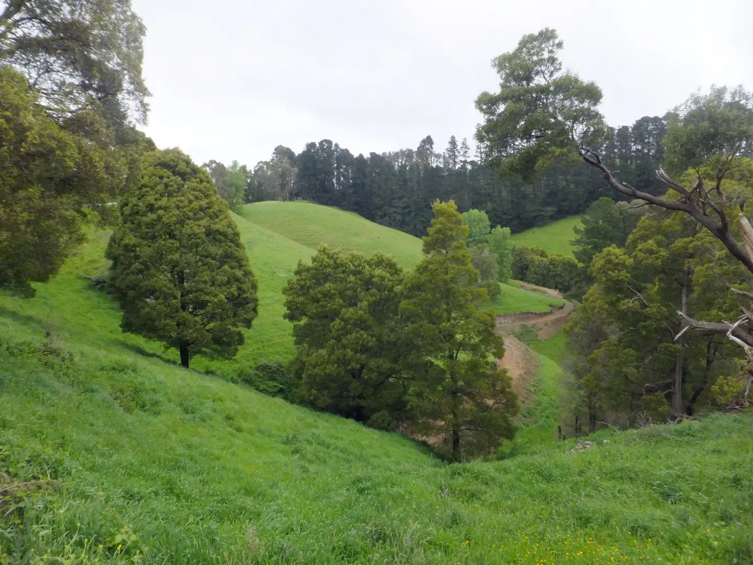 Main view of Homely rural property listing, LOT 1 Yarragon Leongatha Road, Yarragon VIC 3823
