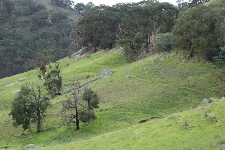 Fifth view of Homely rural property listing, 571 Molesworth Dropmore Road, Molesworth VIC 3718