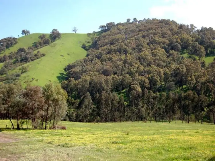 Main view of Homely land listing, 231 Shannons Road, Murrindindi VIC 3717
