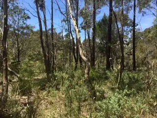 Second view of Homely land listing, 75 Simmons Reef Road, Blackwood VIC 3458