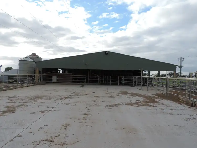 Main view of Homely rural property listing, 109 Pleasance Road, Tragowel VIC 3579