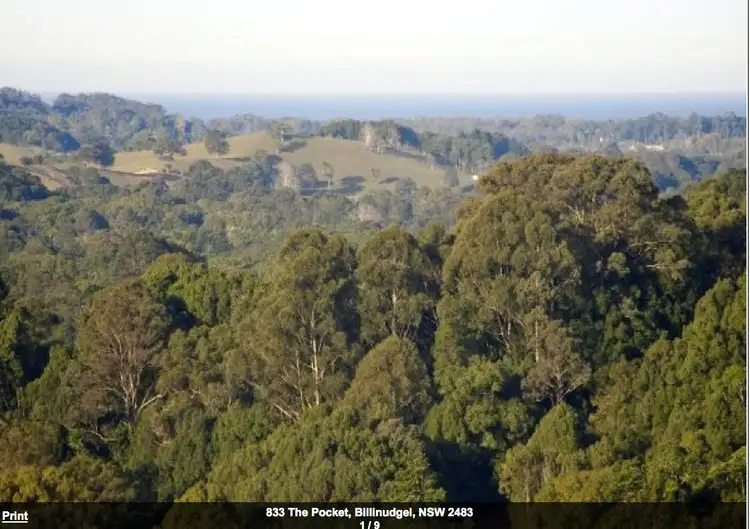 Third view of Homely land listing, 833 The Pocket Road, The Pocket NSW 2483