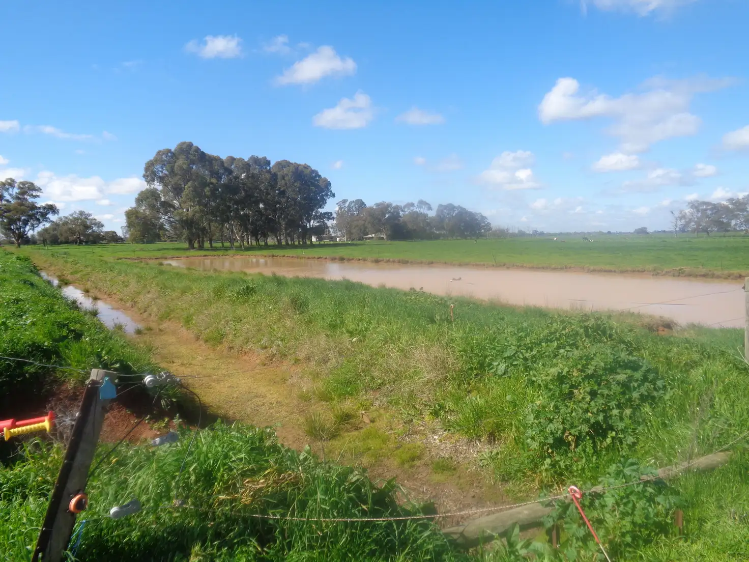 Main view of Homely rural property listing, 2446 Middleton Road, Lockington VIC 3563