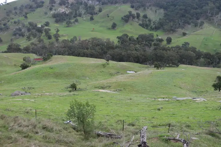 Fourth view of Homely rural property listing, 571 Molesworth Dropmore Road, Molesworth VIC 3718