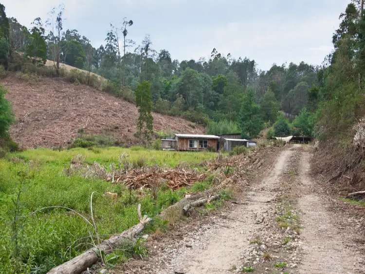 Fourth view of Homely rural property listing, Lot 1 Van Ess Road, Ferndale VIC 3821