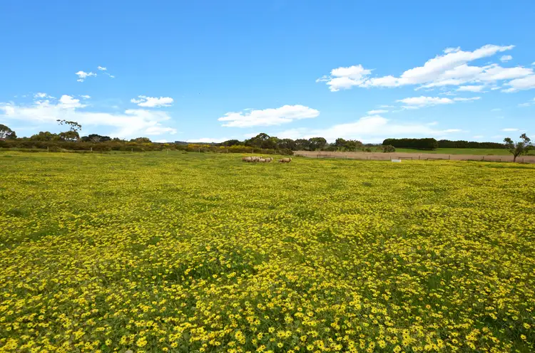 LOT 2/8248 Princes Highway, Portland VIC 3305