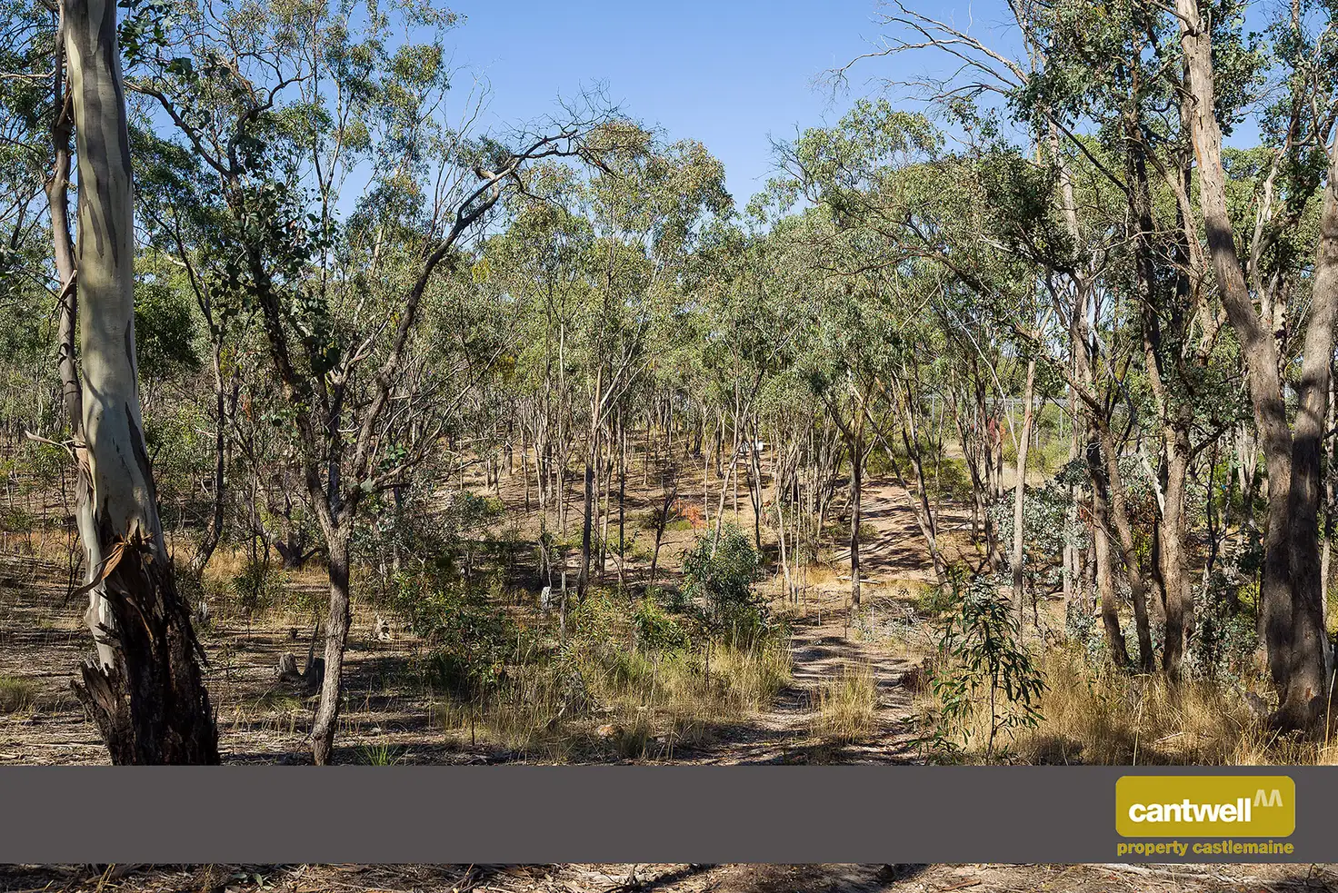 Main view of Homely land listing, 80 McMillans Road, Green Gully VIC 3462