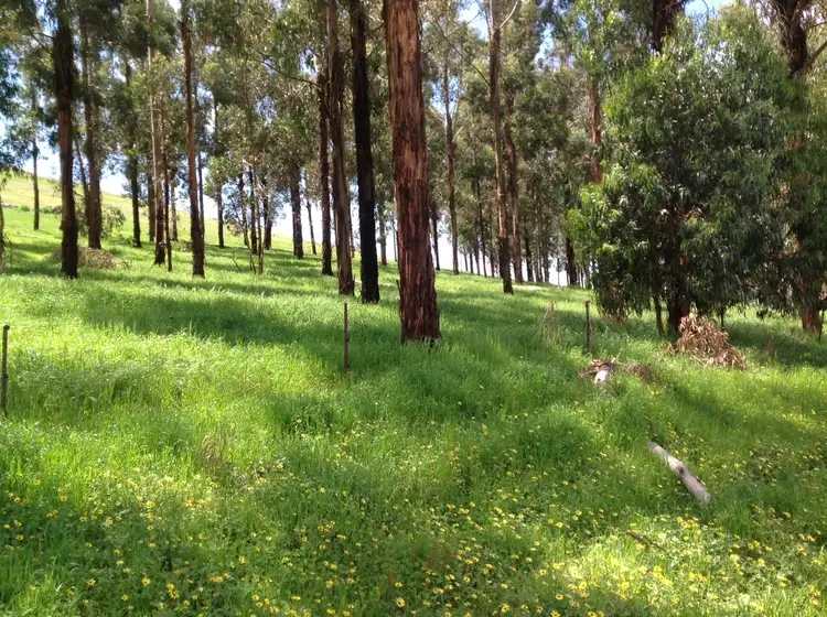 Fifth view of Homely rural property listing, LOT 2 Stephens Road, Tatong VIC 3673
