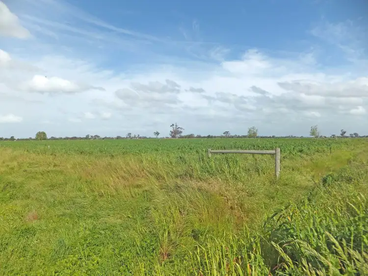 Sixth view of Homely rural property listing, Henderson Road, Tongala VIC 3621