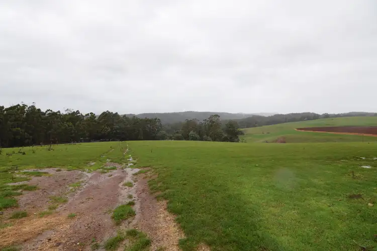 Fifth view of Homely rural property listing, 311 Minna Road, Stowport TAS 7321