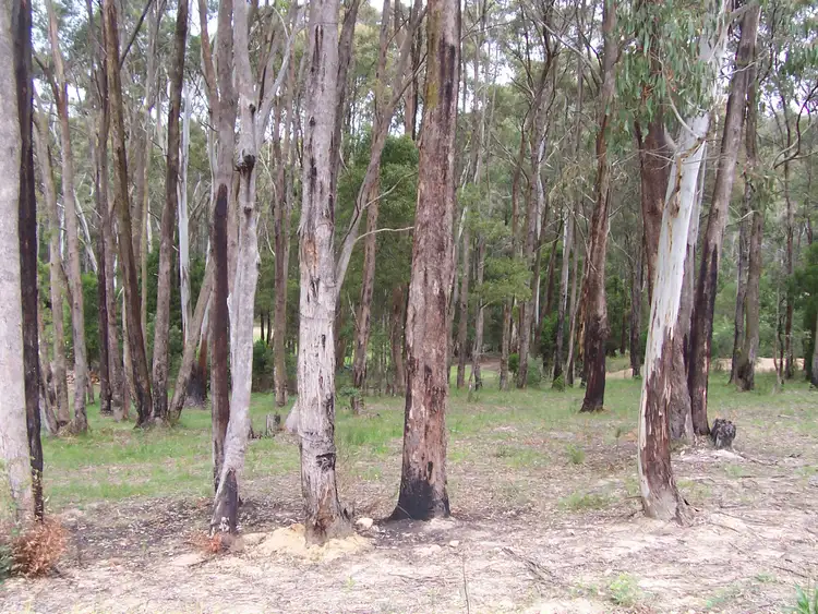 Fourth view of Homely land listing, LOT 3 Old Golden Point Road, Blackwood VIC 3458