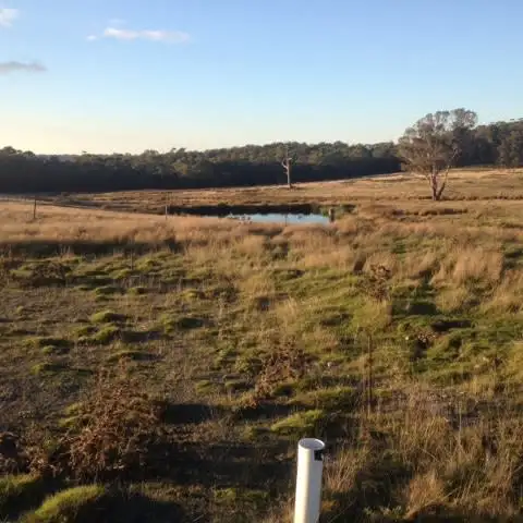 Seventh view of Homely rural property listing, Greens Beach Road, Beaconsfield TAS 7270