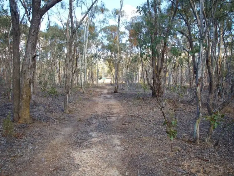 Second view of Homely rural property listing, 156 Ottreys Scrub Road, Muckleford VIC 3451