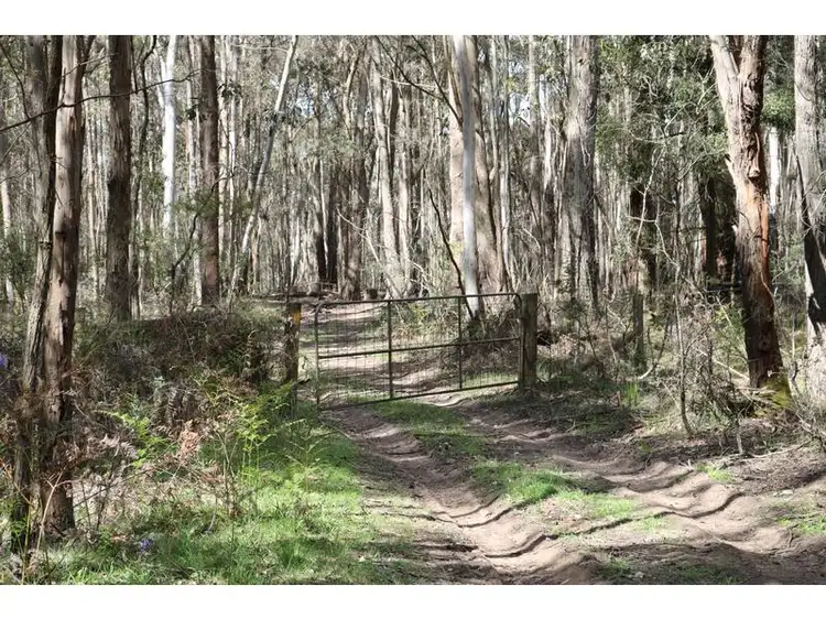Fifth view of Homely land listing, 59C Hickeys Road, Trentham VIC 3458
