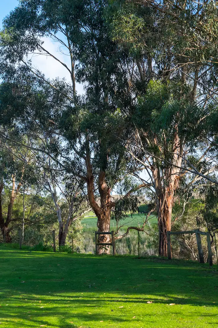 Sixth view of Homely house listing, 10140 Princes Highway, Allansford VIC 3277