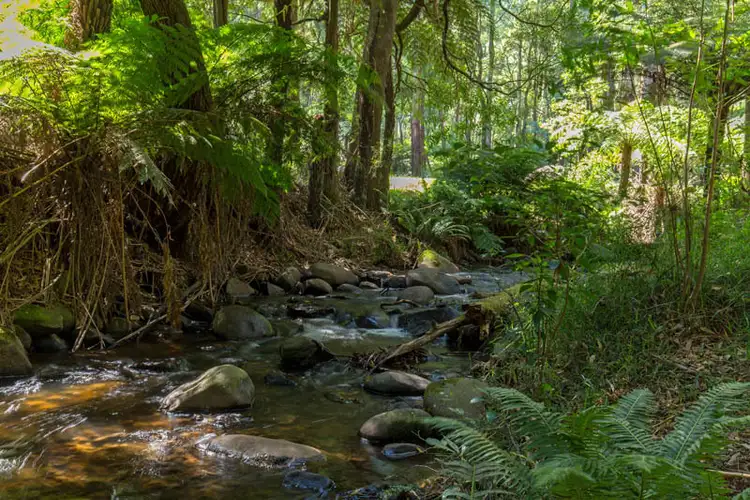 Sixth view of Homely house listing, 39 Reserve Rd, Don Valley VIC 3139