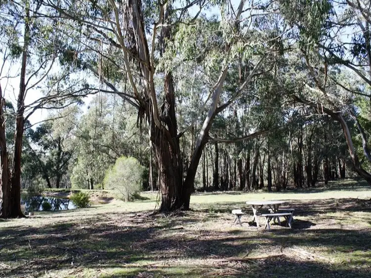 81 Jackies Lane, Benloch VIC 3435