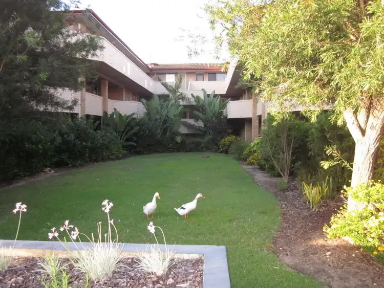 Third view of Homely apartment listing, 77/6 Manning Terrace, South Perth WA 6151