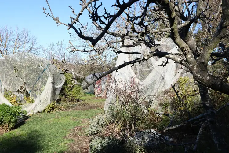 Third view of Homely rural property listing, 226 Murrindindi Road, Yea VIC 3717