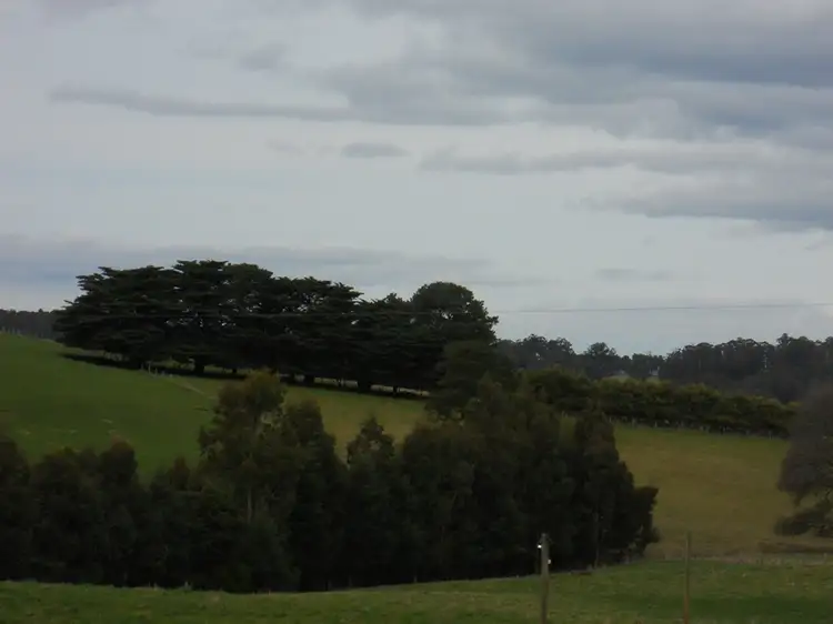 Fifth view of Homely rural property listing, 1688 Mt Baw Baw Tourist Road, Icy Creek VIC 3833