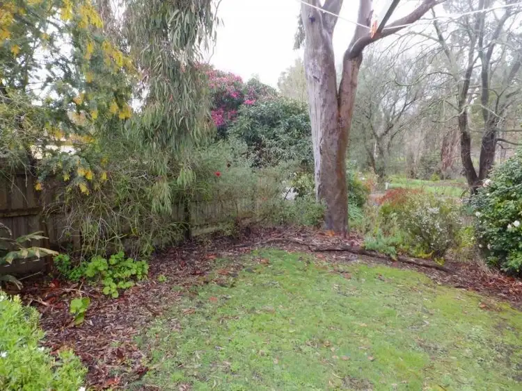 Fourth view of Homely house listing, 11 Western Park Drive, Warragul VIC 3820