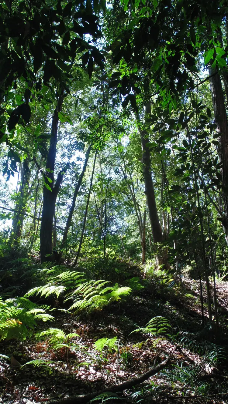 Third view of Homely land listing, LOT 92/42 Emerald Vista Parade, Yandina QLD 4561