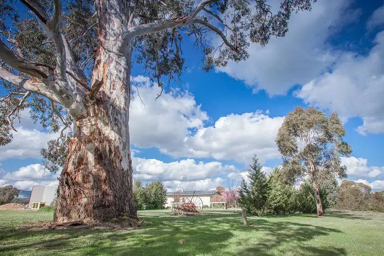 Sixth view of Homely house listing, 46 Burke and Wills Track, Lancefield VIC 3435