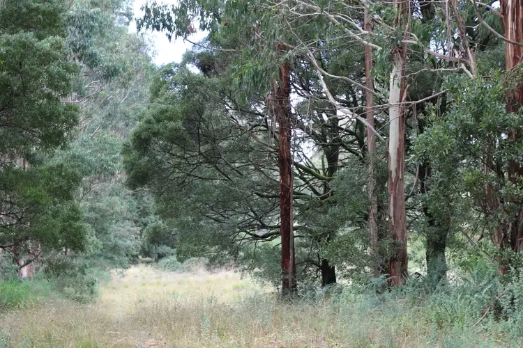 Fifth view of Homely land listing, Bush Block 90 Beaches Lane, Newbury VIC 3458