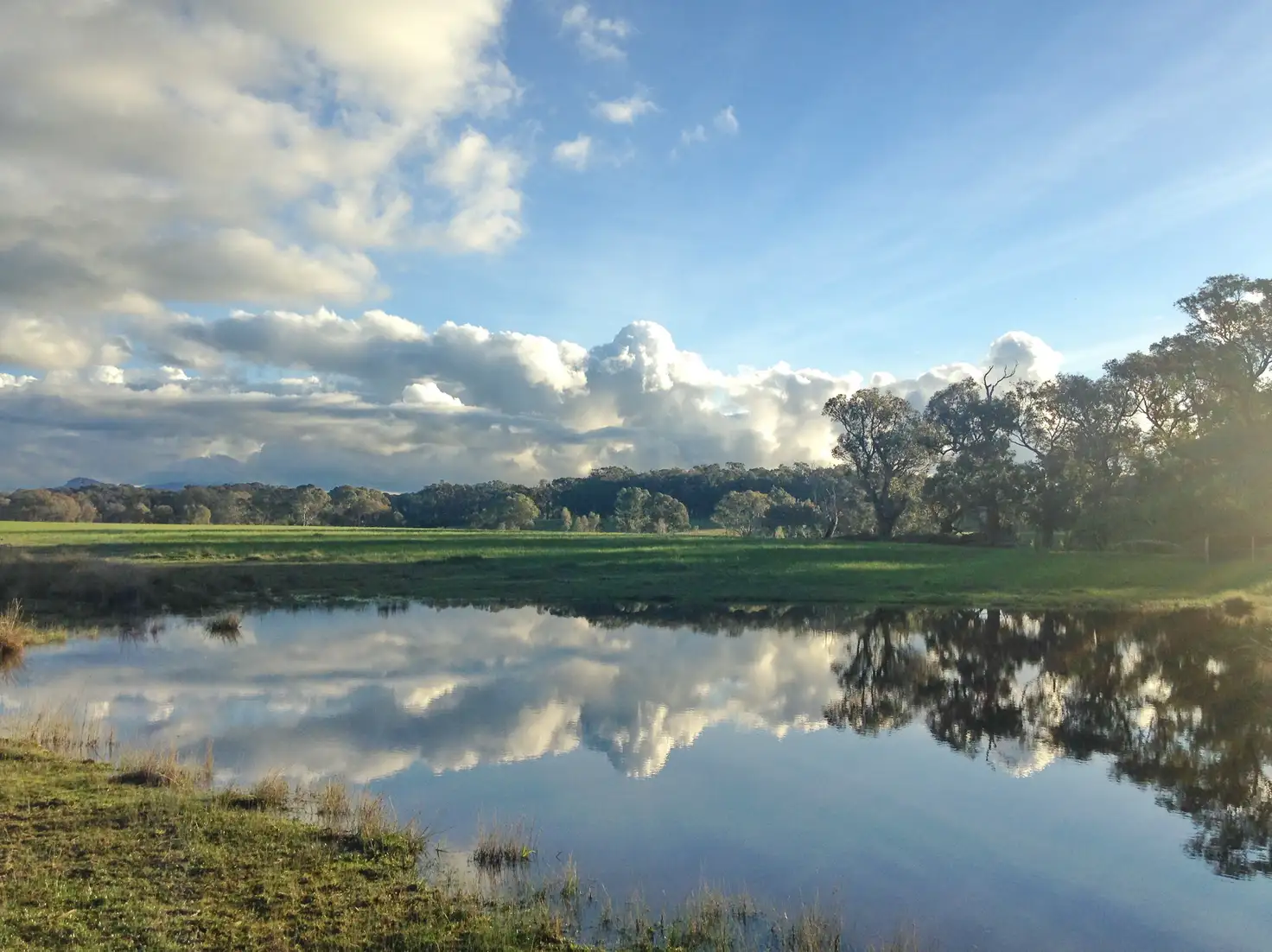 Main view of Homely rural property listing, 25 Pearce Ln, Swanpool VIC 3673