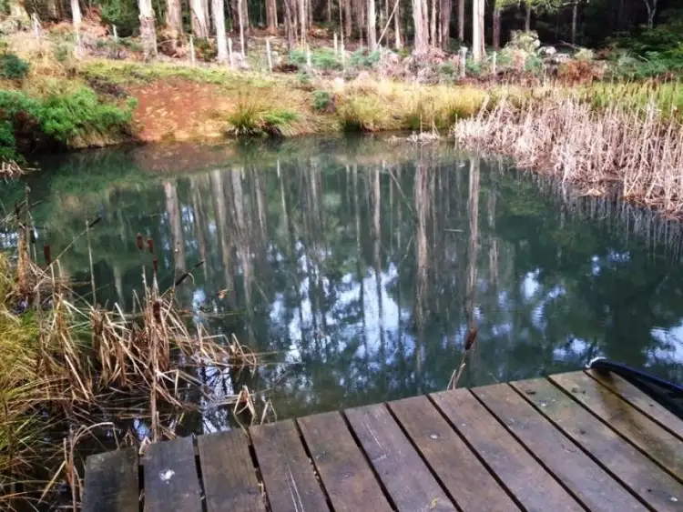 Second view of Homely rural property listing, 130 Lyons Road, Lapoinya TAS 7325
