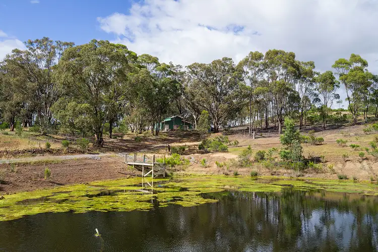 243 White Gum Road, Barkers Creek VIC 3451