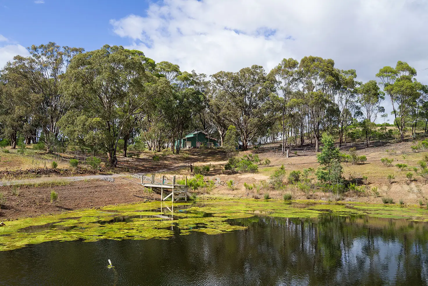 Main view of Homely house listing, 243 White Gum Road, Barkers Creek VIC 3451
