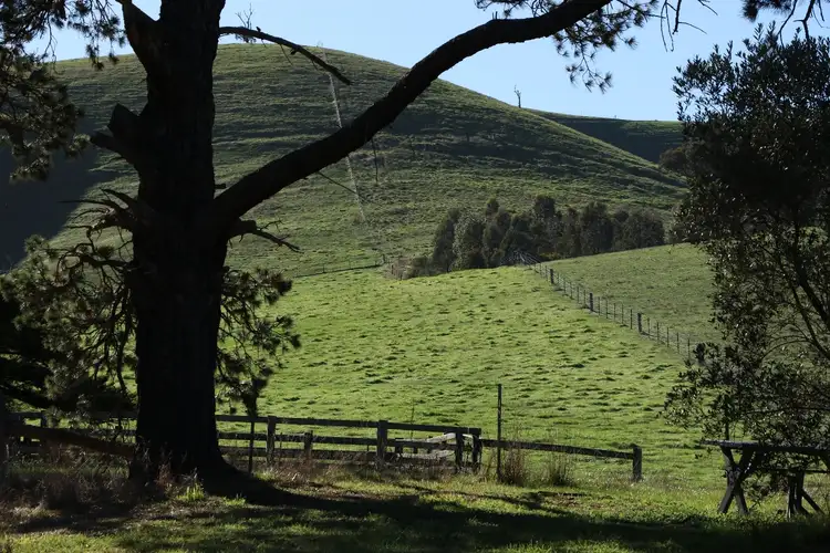 Fifth view of Homely rural property listing, 226 Murrindindi Road, Yea VIC 3717