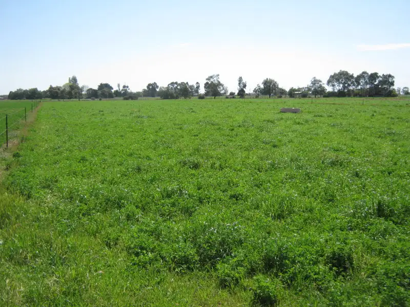 Main view of Homely rural property listing, 752 Bamawm Road, Bamawm VIC 3561