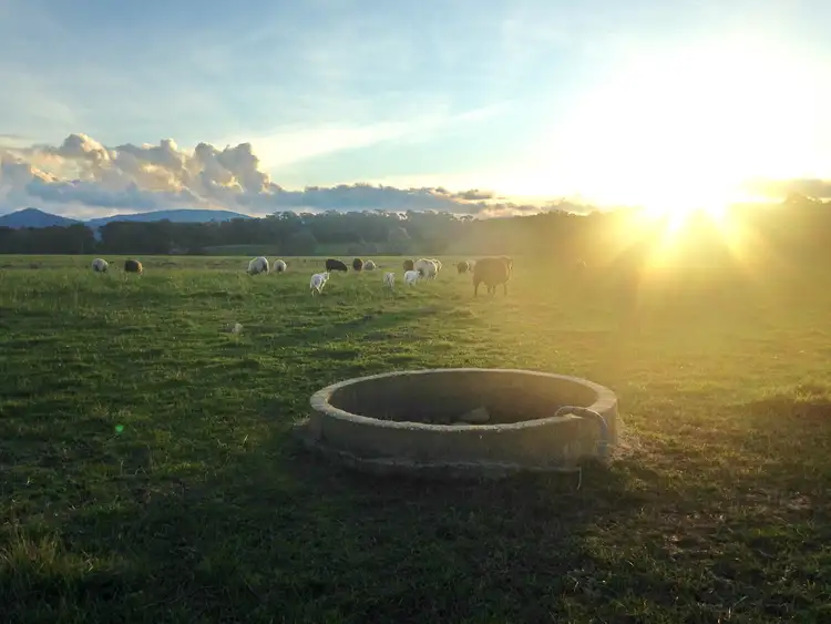 Second view of Homely land listing, 25 Pearce Lane, Swanpool VIC 3673